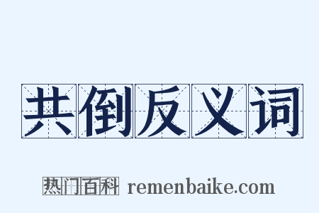 共倒反义词是什么意思的图片